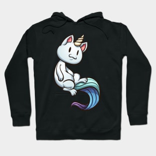 Cartoon caticorn Hoodie